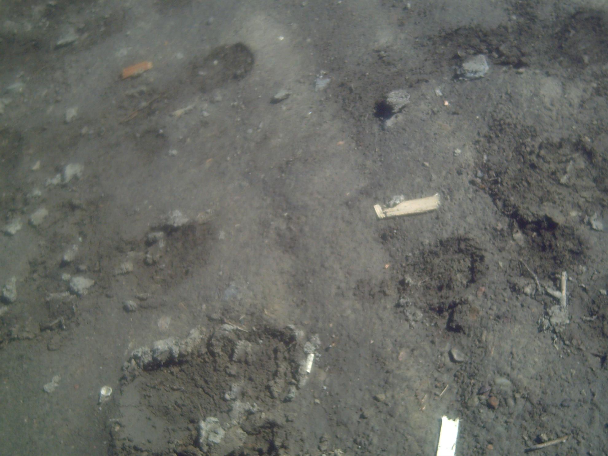 Cupa Beker Sărulesti 20 - 25 mai. - pict0019.JPG